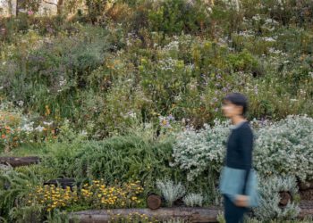 Der Städtische Friedhof Roques Blanques inmitten des Naturparks Collserola in El Papiol, Barcelona ist eine eindrucksvolle Naturlandschaft, die ökologische Bestattungsmodelle anbietet. Foto: Jordi Surroca